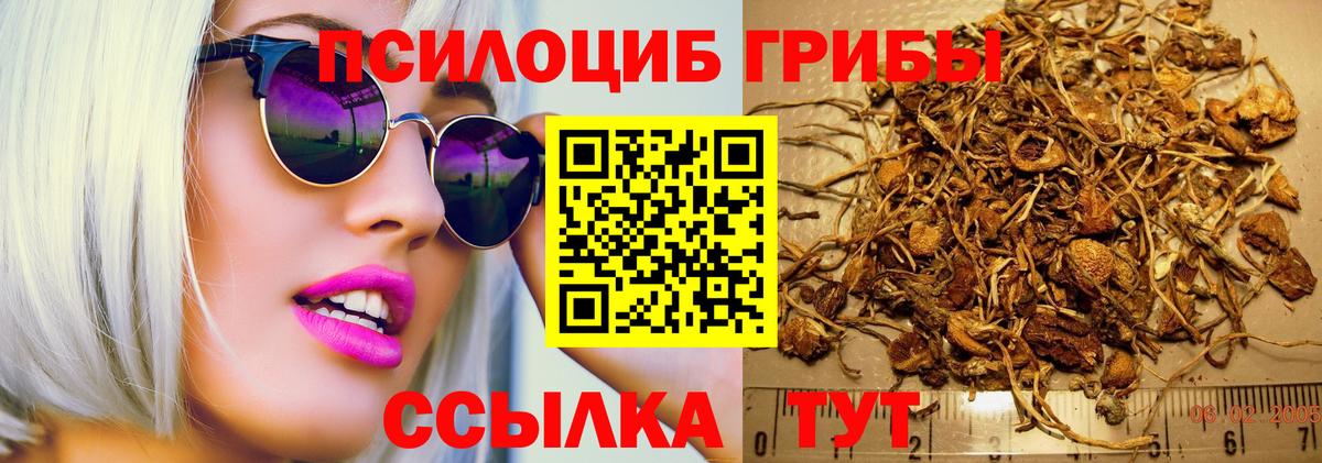 Псилоцибиновые грибы мицелий Серов